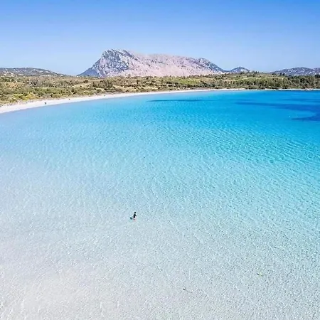 Daire Villino B1 - Il Mare In Stanza