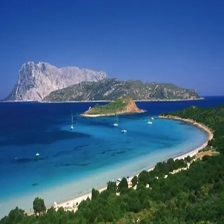 Villino B1 - Il Mare In Stanza Lägenhet San Teodoro (Sardinia)