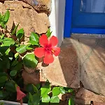 Villino B1 - Il Mare In Stanza *