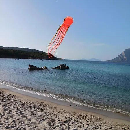 Apartmán Villino B1 - Il Mare In Stanza *