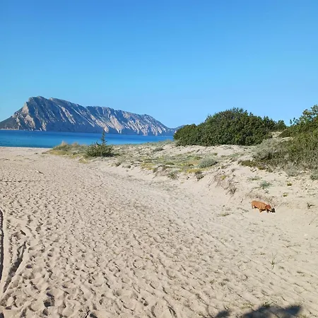 Villino B1 - Il Mare In Stanza San Teodoro (Sardinia)