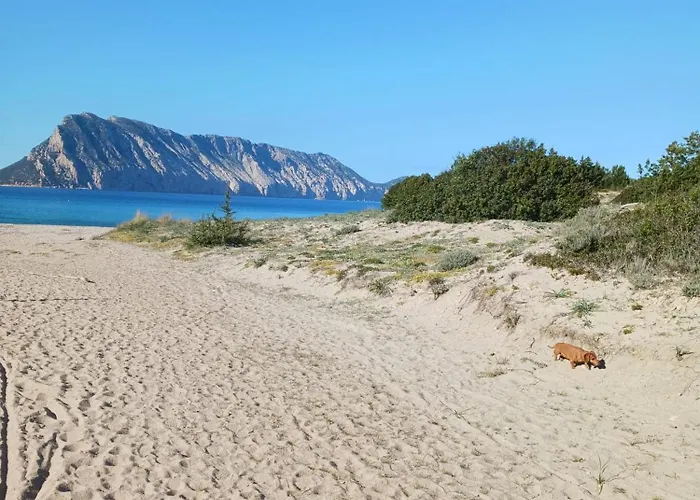 Villino B1 - Il Mare In Stanza San Teodoro (Sardinia)