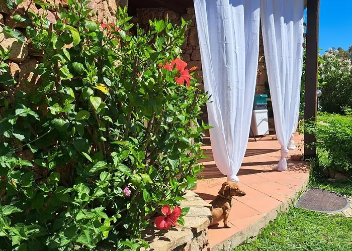 Villino B1 - Il Mare In Stanza